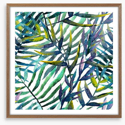 Tropical fronds
