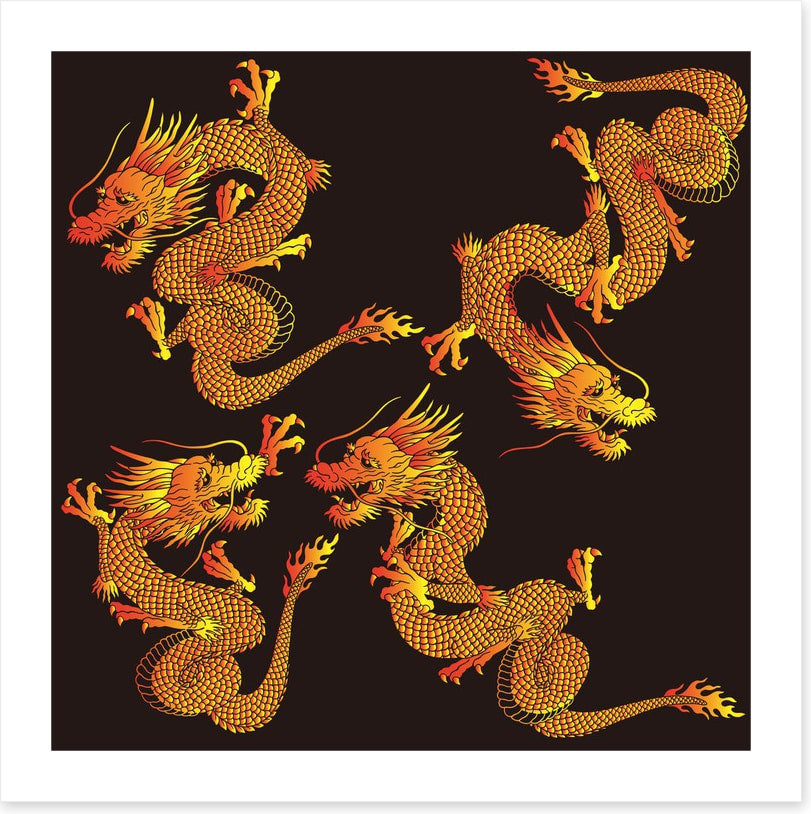 Dragons