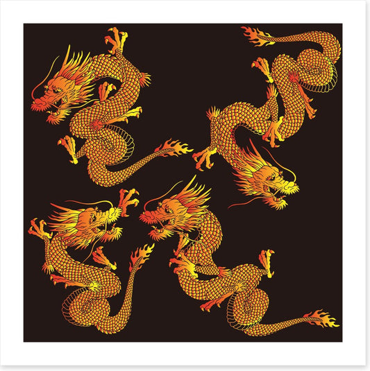 Dragons