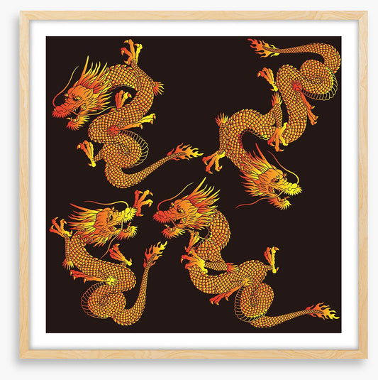 Dragons