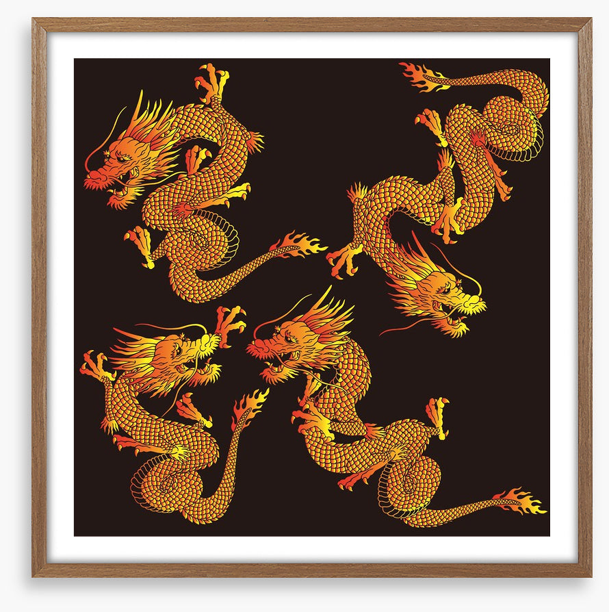 Dragons