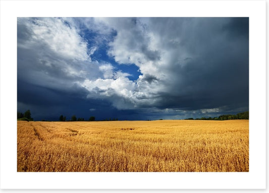 Gathering clouds