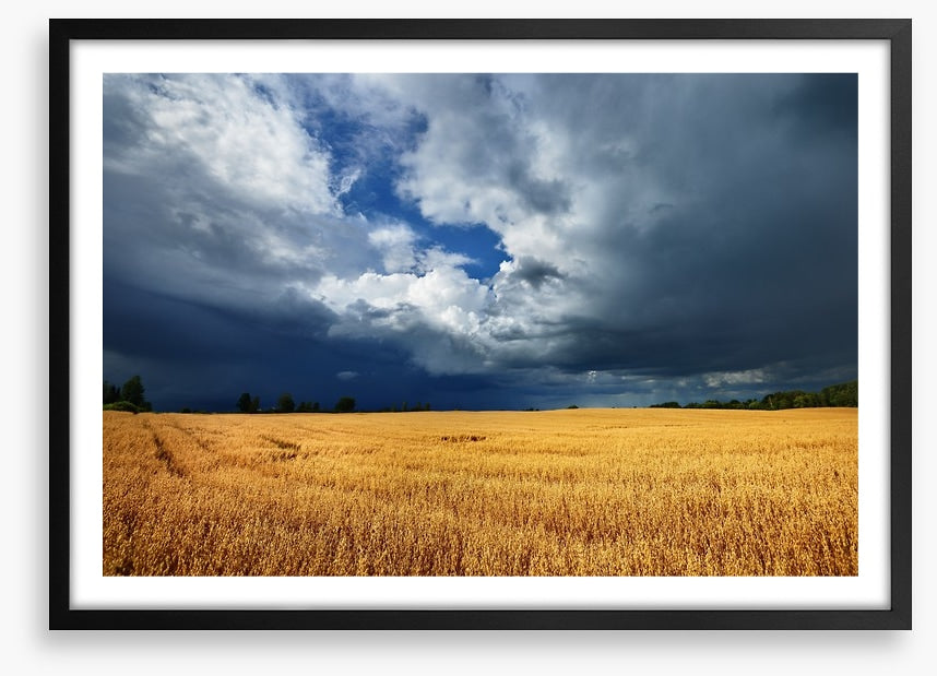 Gathering clouds