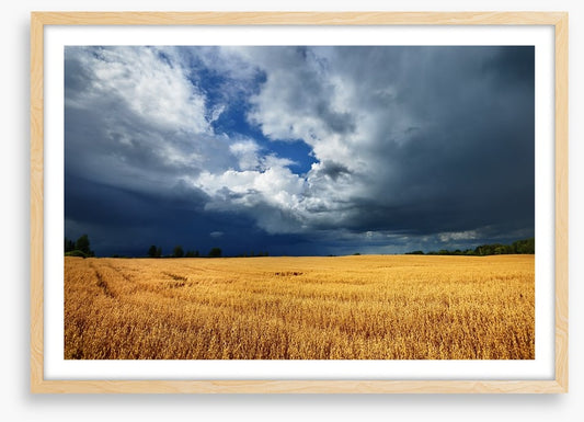 Gathering clouds
