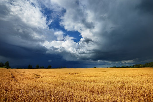 Gathering clouds