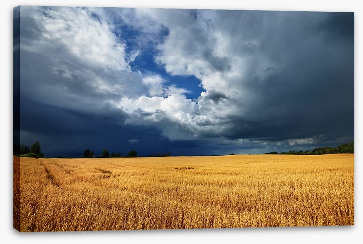 Gathering clouds