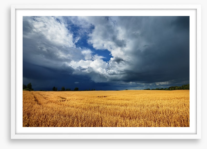 Gathering clouds