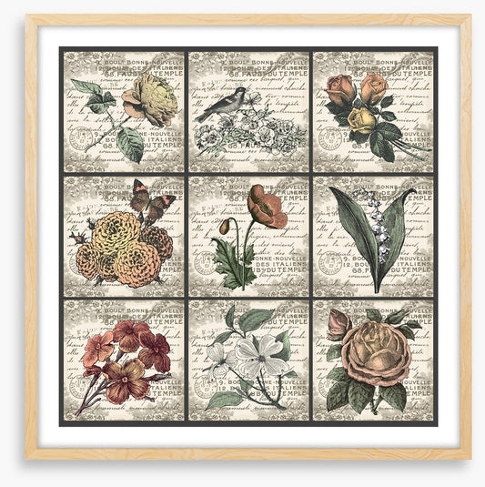 Fleurs antiques