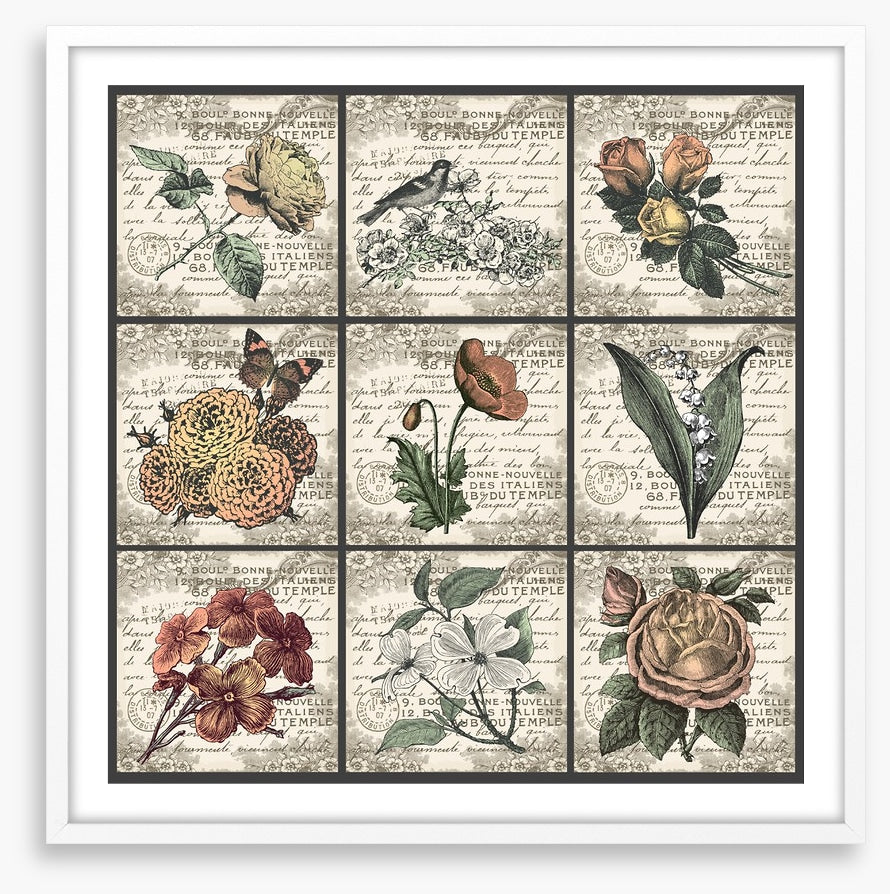 Fleurs antiques