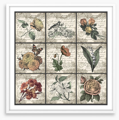 Fleurs antiques