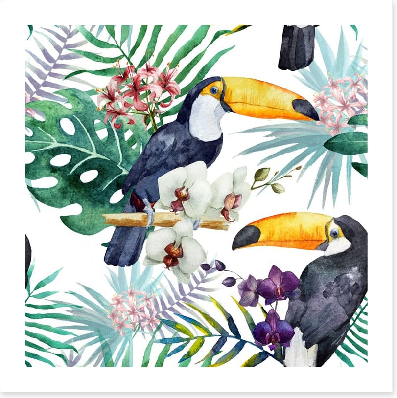 Tropical toucan