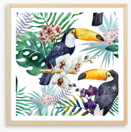 Tropical toucan