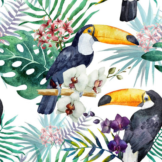 Tropical toucan