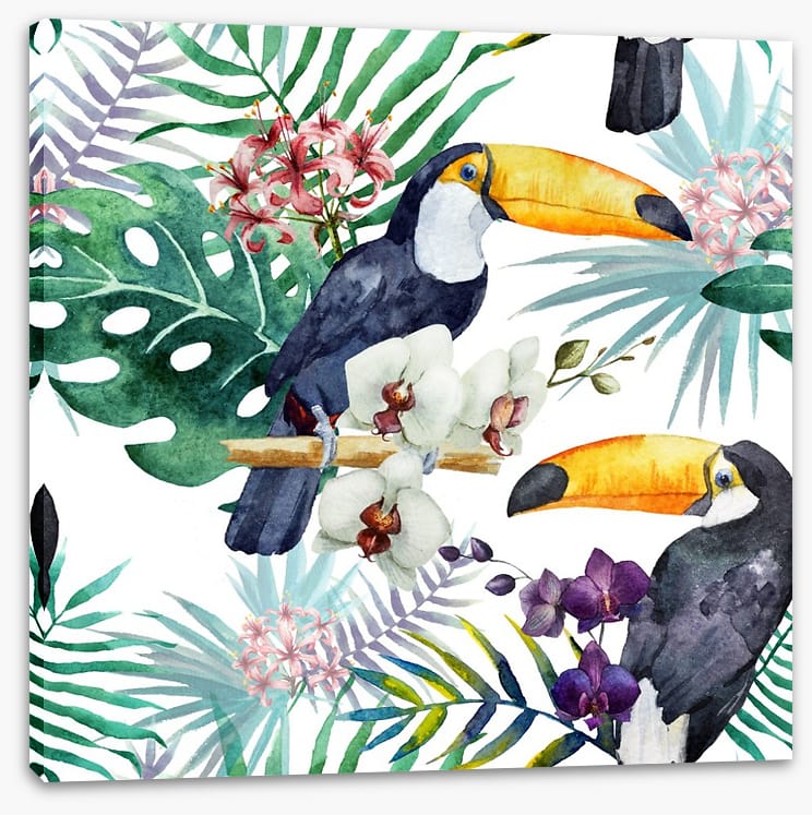 Tropical toucan