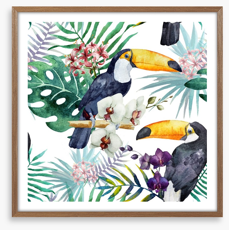Tropical toucan
