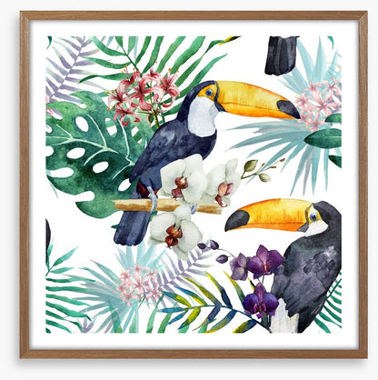 Tropical toucan
