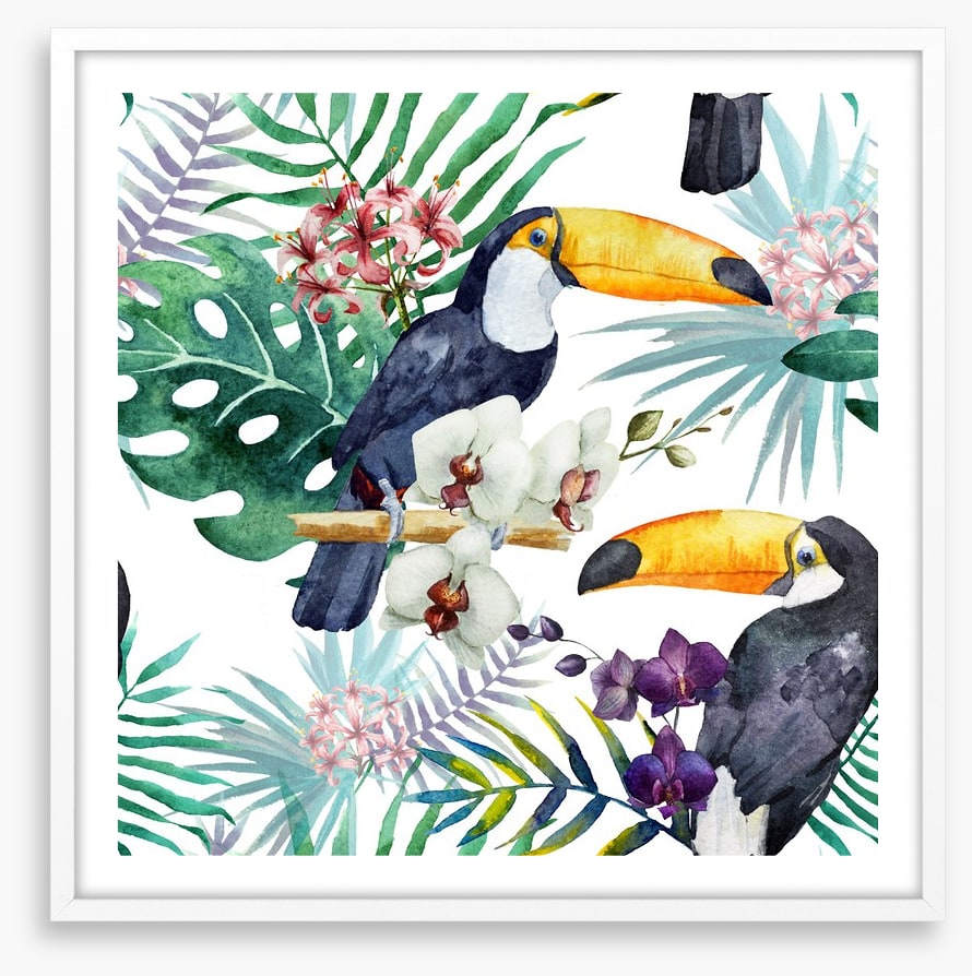 Tropical toucan