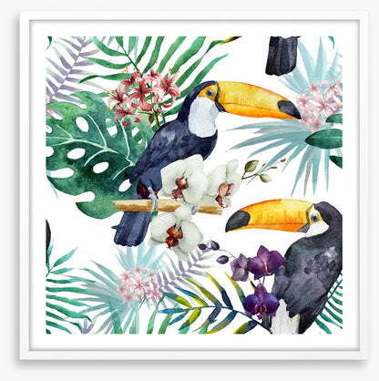 Tropical toucan