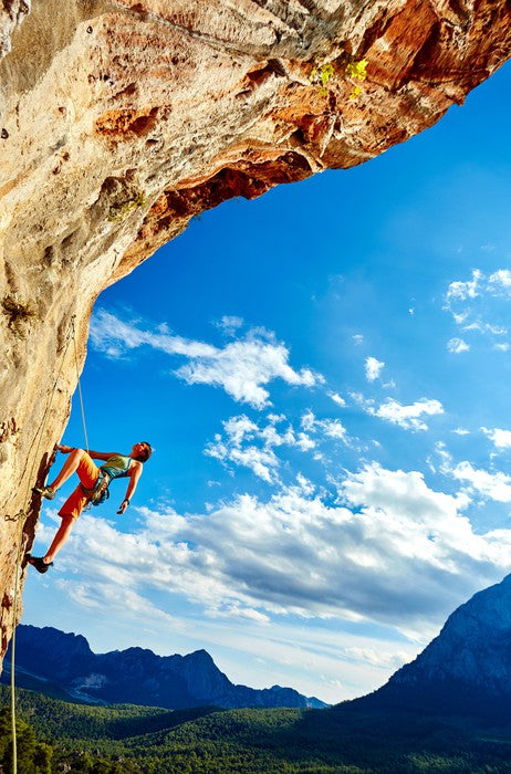 Perseverance