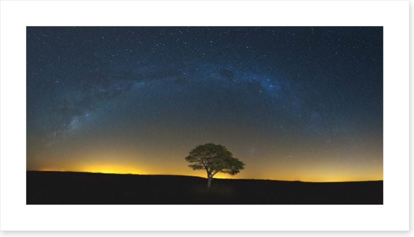 Lone tree under the Milky Way
