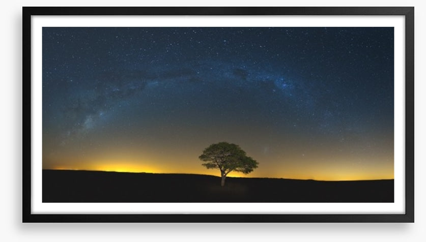 Lone tree under the Milky Way
