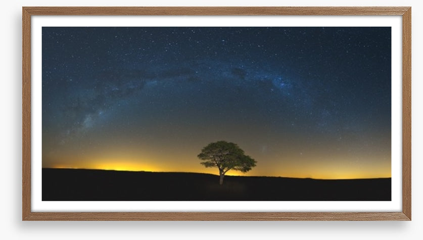 Lone tree under the Milky Way