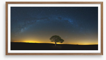 Lone tree under the Milky Way