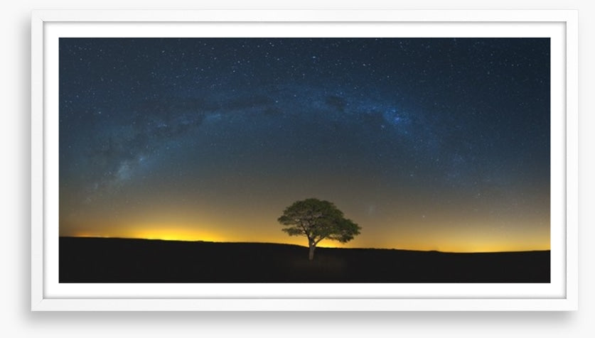Lone tree under the Milky Way