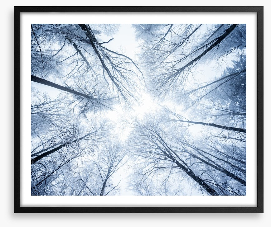 Canopy clouds