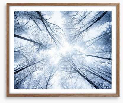 Canopy clouds
