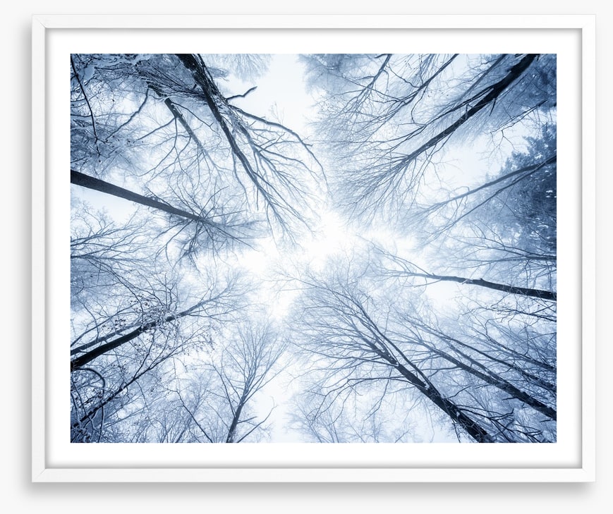 Canopy clouds