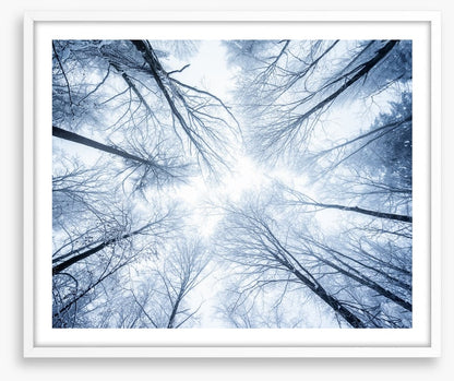 Canopy clouds