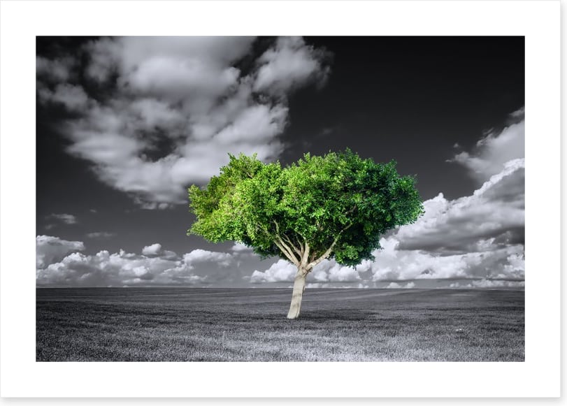 The green tree