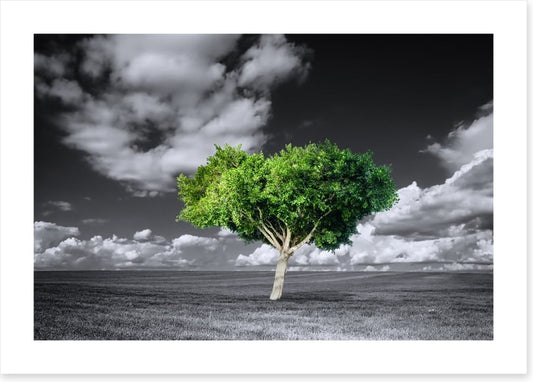 The green tree