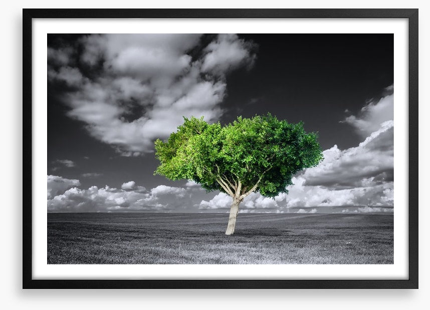 The green tree