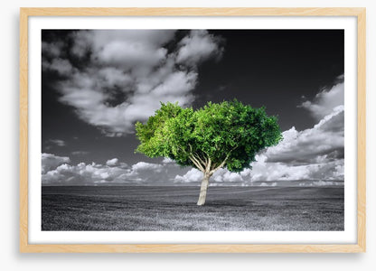 The green tree