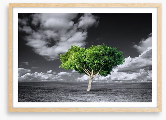The green tree