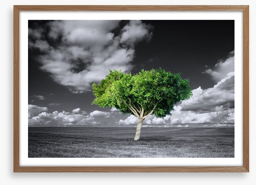 The green tree