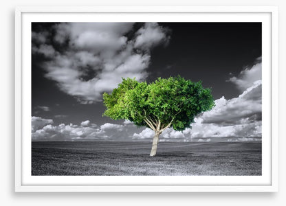 The green tree