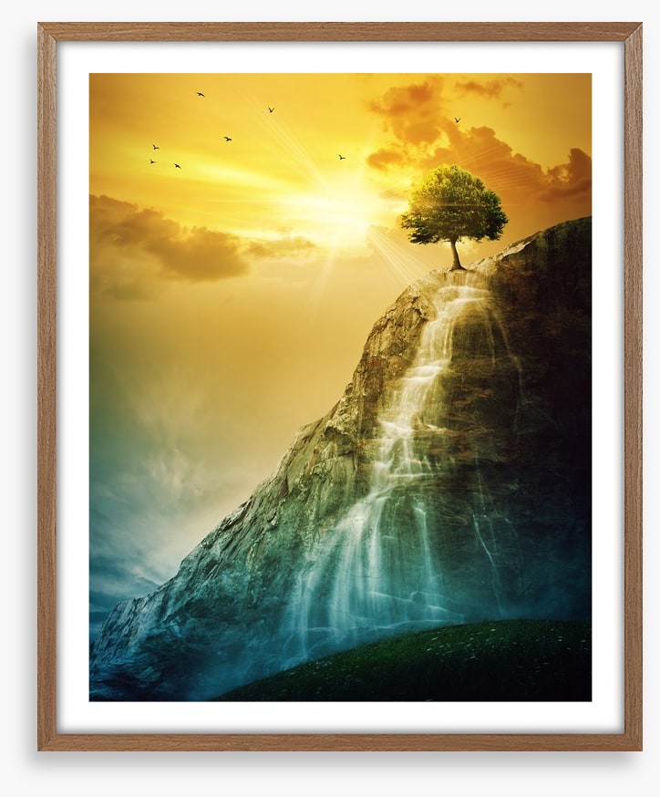 Tree of the falls