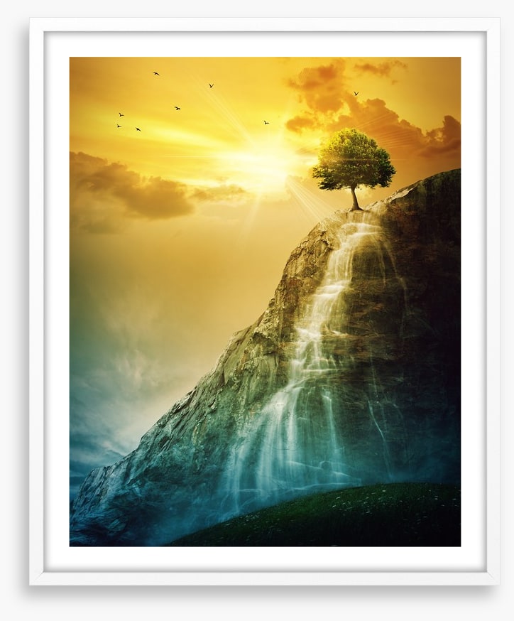 Tree of the falls