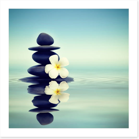 Petals and pebbles