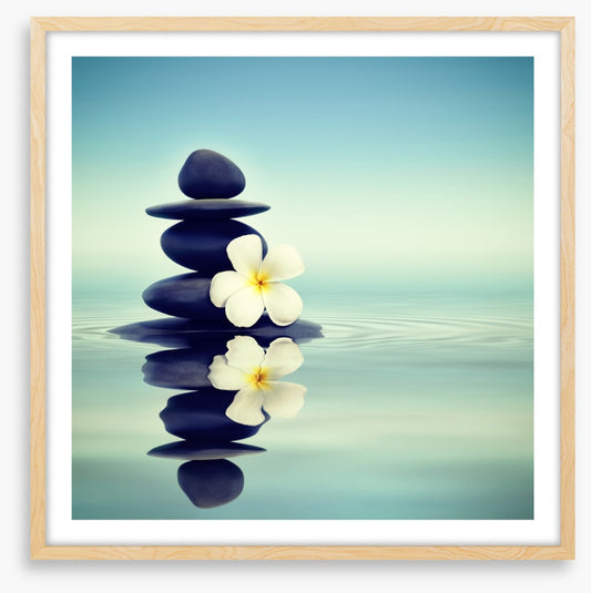 Petals and pebbles