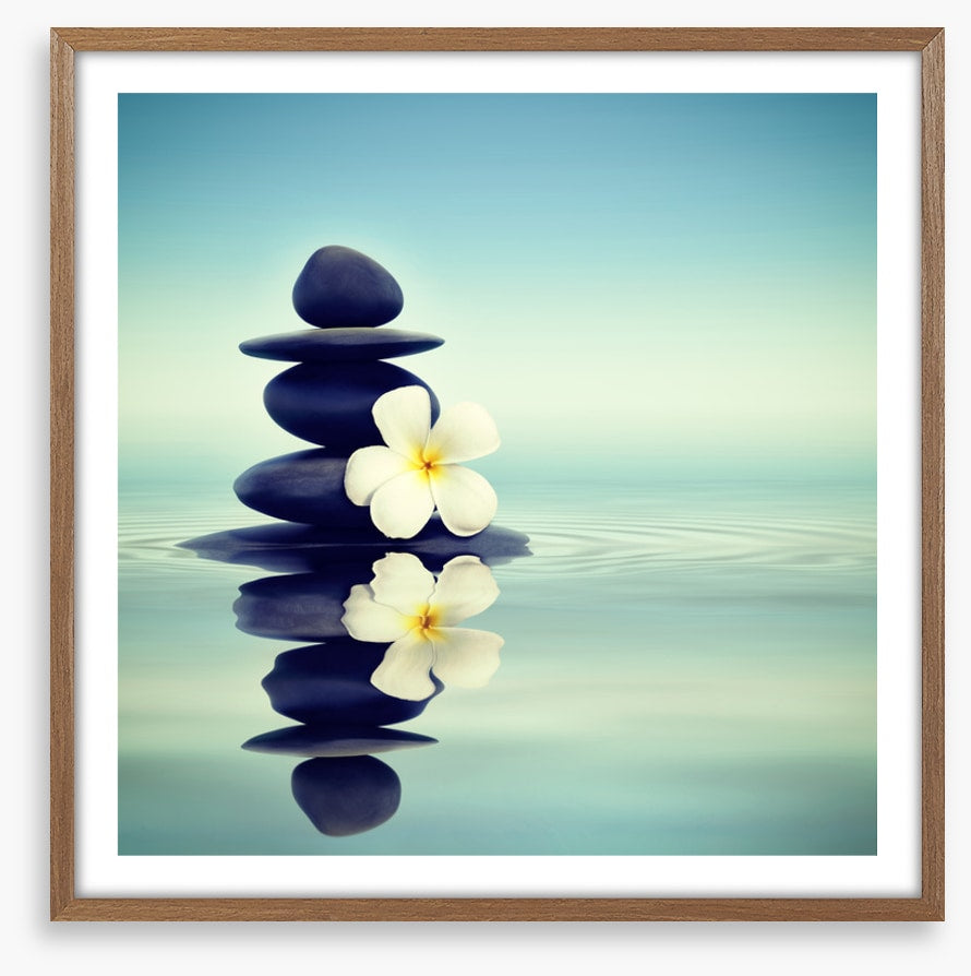 Petals and pebbles