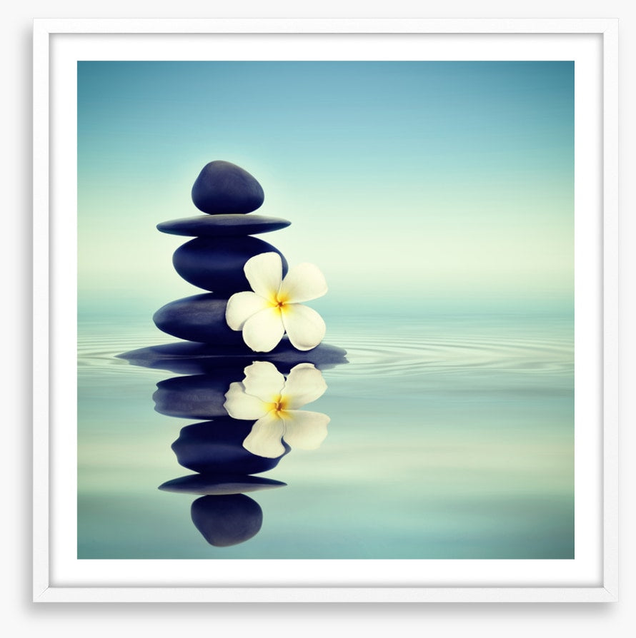 Petals and pebbles