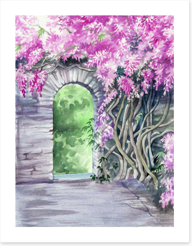The wisteria arch