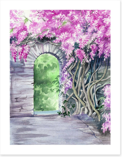 The wisteria arch