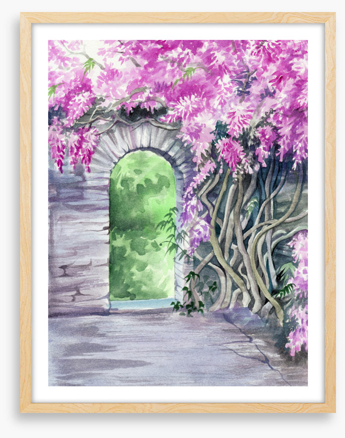 The wisteria arch