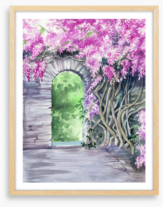 The wisteria arch