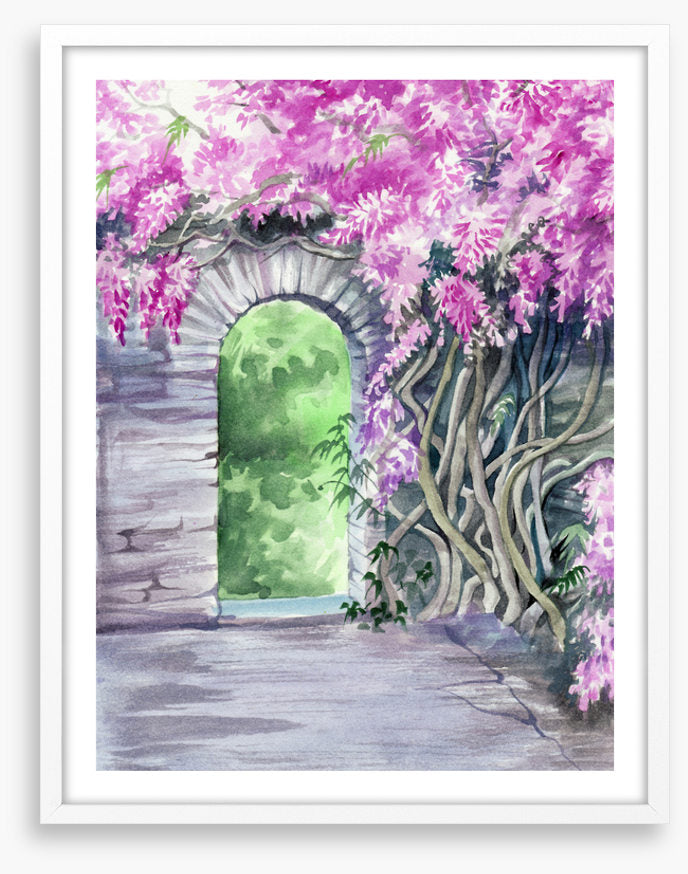 The wisteria arch